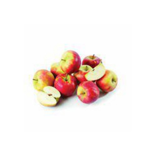Elstar appels 1.5 kg