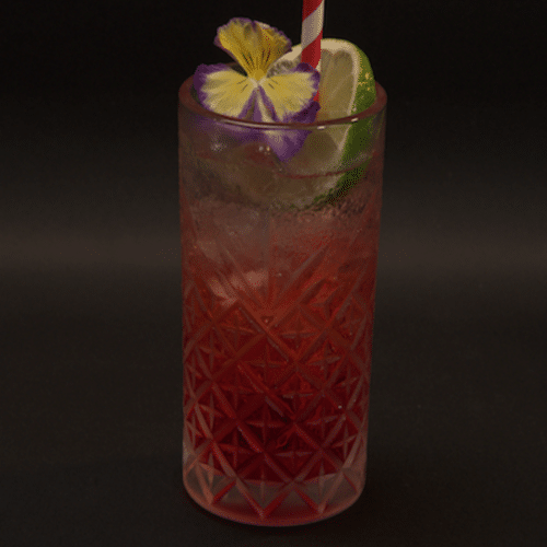 Rose ginger spitzer