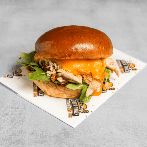 Chicken burger cheddar