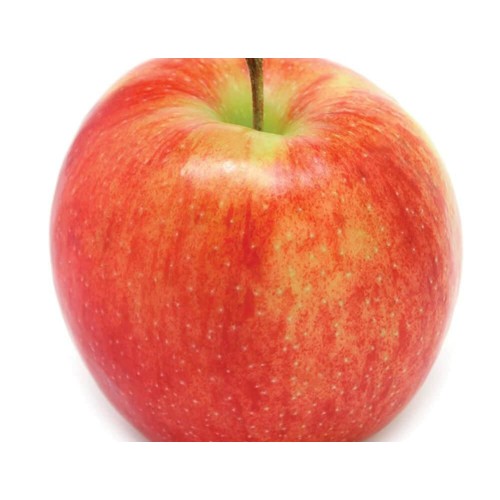 Appel Jonagold zak 1,5kg 