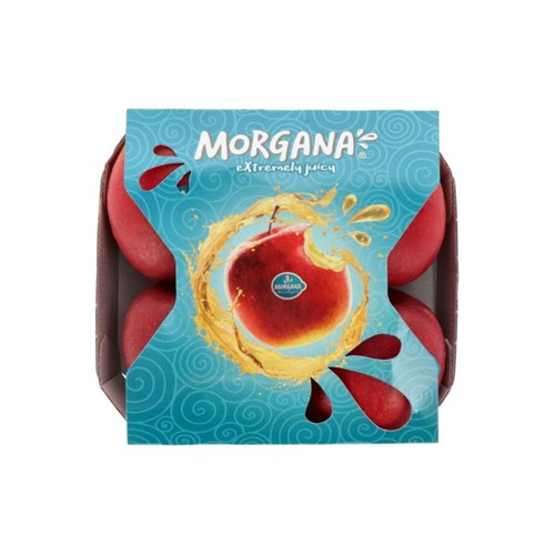 Morgana appel 4 stuks