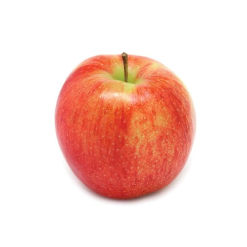 Appel Jonagold zak 1.5 kg