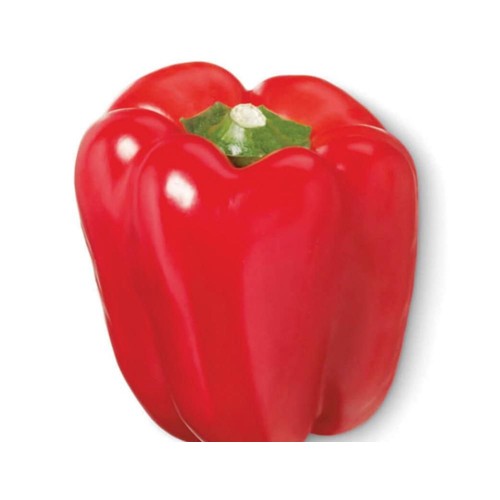 Paprika rood per stuk