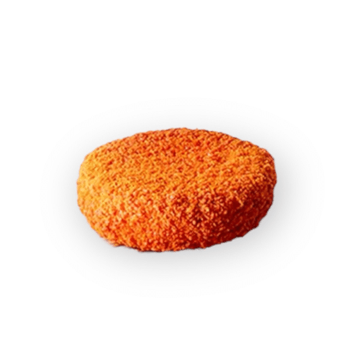 Nasischijf