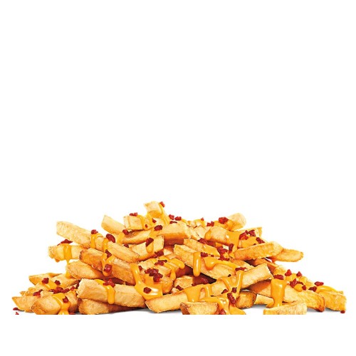 Cheesy Bacon Fries